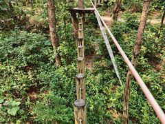 -芦仙山景区-飞越丛林探险乐园