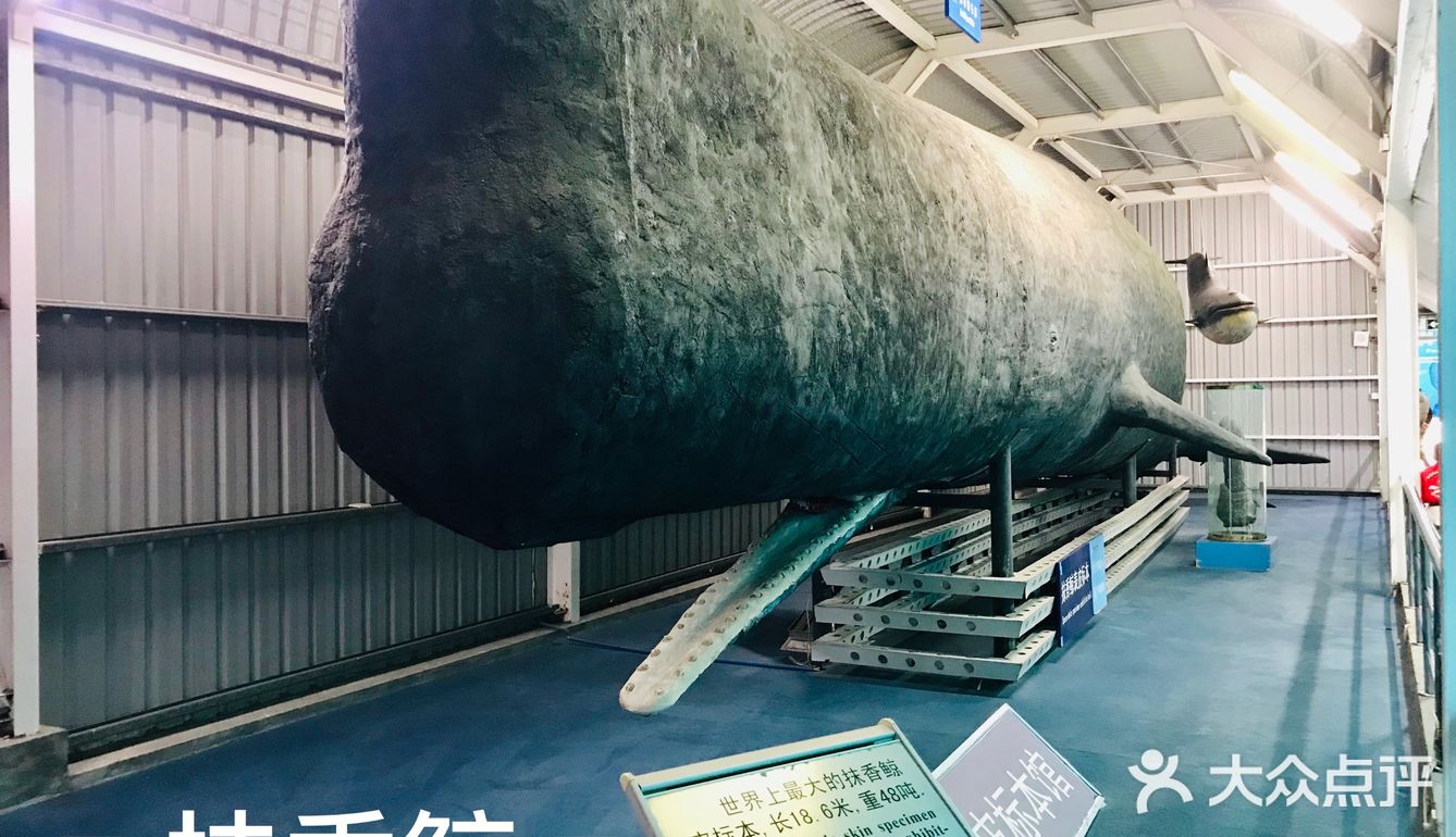 厦门鼓浪屿之旅