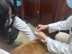-美联众合动物医院·24h转诊中心