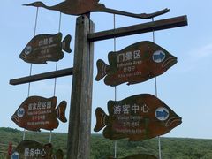 -北海金海湾红树林生态旅游区