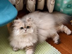 -欧提汗·新疆餐厅·清真(银都路店)