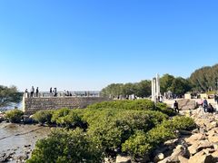 -宝安西湾红树林湿地公园