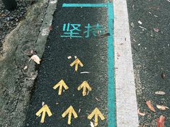 -佛山市三水区大南山森林公园