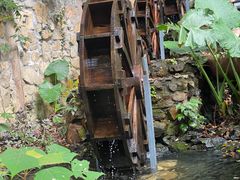 -天门沟九州驿站树上汤泉