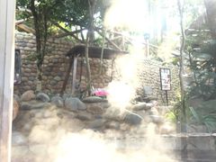 -云涛森林温泉