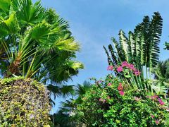 -三亚亚龙湾天域度假酒店