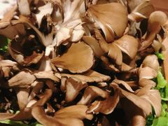 -盡膳口福跷脚牛肉火锅(合生汇购物中心店)