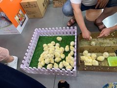 -麦德龙(青羊店)