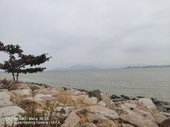 -深圳湾公园(南山区)