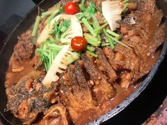 -老板恋上鱼(高新万达店)