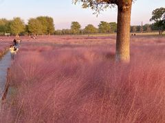 -汉长安城未央宫国家考古遗址公园