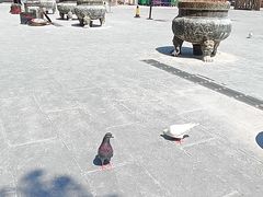 -悦城龙母祖庙