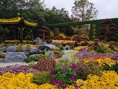 -共青国家森林公园-售票处