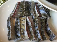 -正能量脆肉鲩火锅