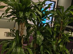 -北京德胜门华宇假日酒店·画廊咖啡厅