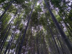 -东山风景区(洞庭东山)