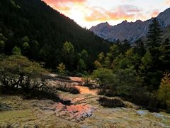 -黄龙山原始森林景区