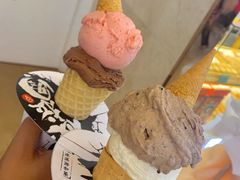 -极拉图·现制冰淇淋(大卫城店)