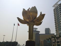 -金莲花广场