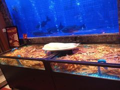 -忆江南·临江鱼馆