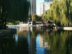 -团结湖公园