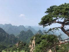-大连天门山国家森林公园