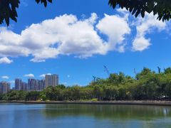 -白鹭洲公园