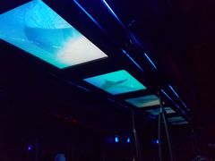 -海洋公园海洋列车－海滨站