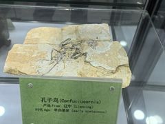 -房山世界地质公园博物馆