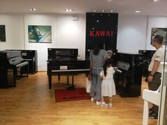 -柏斯琴行(汾阳店)