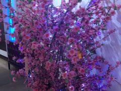 -Miohca缪卡KTV(和平店)