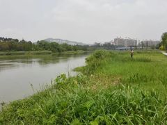 -大湾区中央湿地公园