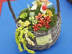 -吴山花鸟城-停车场