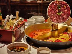 -小龙翻大江文化火锅(宽窄店)