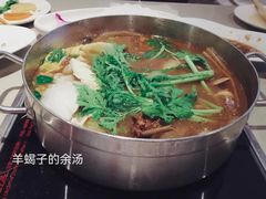 -蝎王府羊蝎子(西直门店)