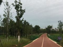 -白鹭湾湿地公园