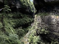-鹿院坪生态旅游景区