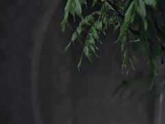 -二酉书店TOYOU BOOKS