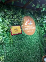 -小熊维尼高端儿童摄影(宝安旗舰店)