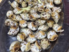 -板桥海鲜广场11排2号