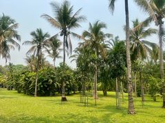 -中国科学院西双版纳热带植物园