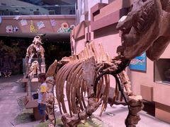 -陕西自然博物馆