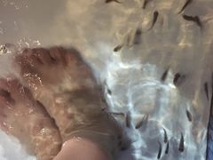 -水晶之星洗浴温泉汗蒸