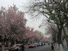 -天津五大道文化旅游区