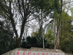 -重庆彩云湖湿地公园