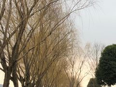 -羊山湖公园