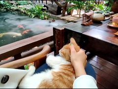 -The Flowers Coffee(南山店)