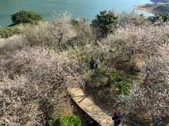 -广州市流溪河国家森林公园