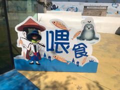 -秦皇岛乐岛海洋王国