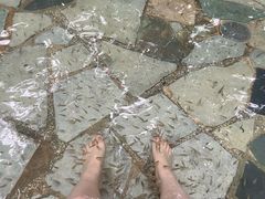 -湖泉半山温泉(湖泉生态园)